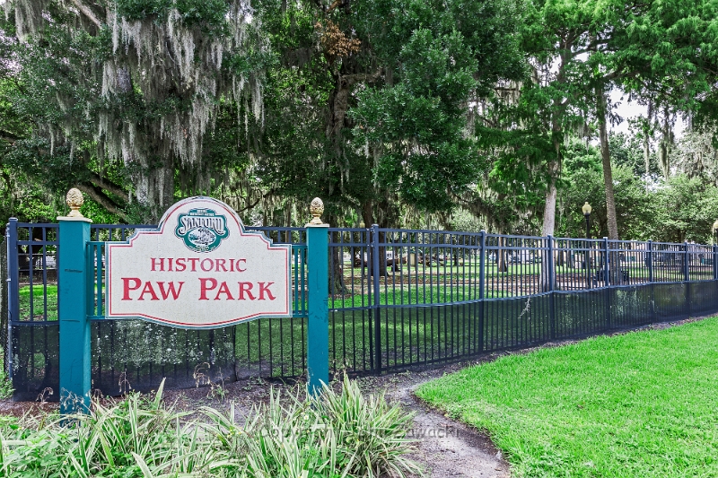 Paw Park-0754.jpg